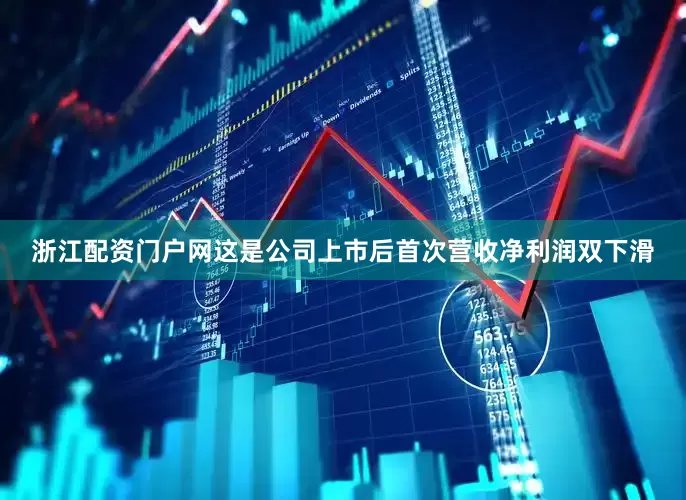 浙江配资门户网这是公司上市后首次营收净利润双下滑