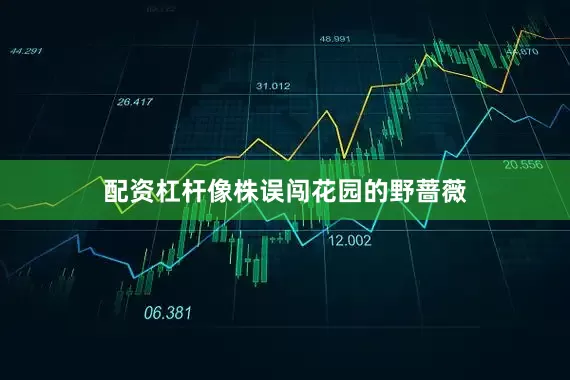 配资杠杆像株误闯花园的野蔷薇