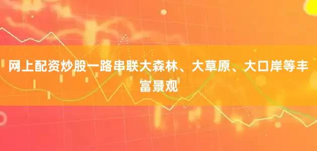网上配资炒股一路串联大森林、大草原、大口岸等丰富景观